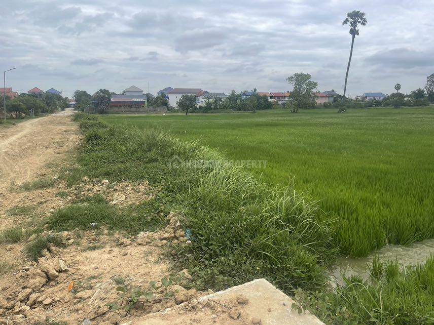 柬埔寨金边新机场土地资源出售…… - Widok 2