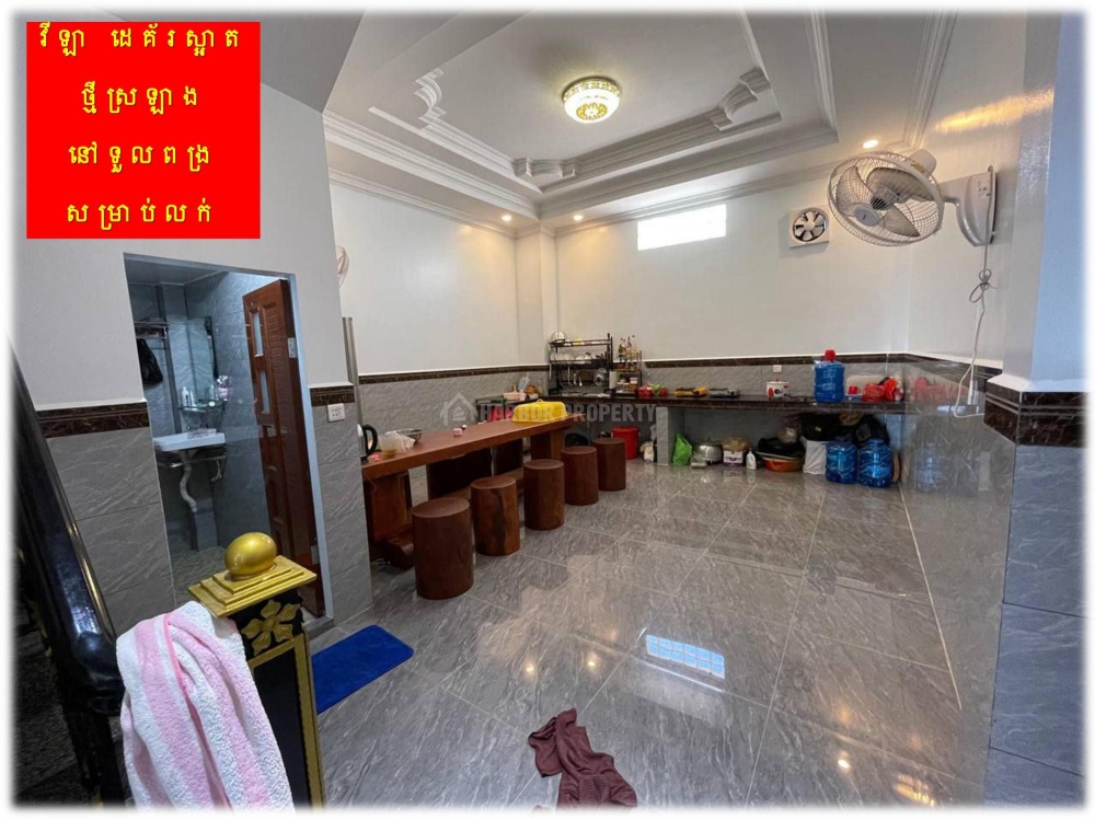 House in Phnom Penh, ភូមិត្រាំដោក - View 3
